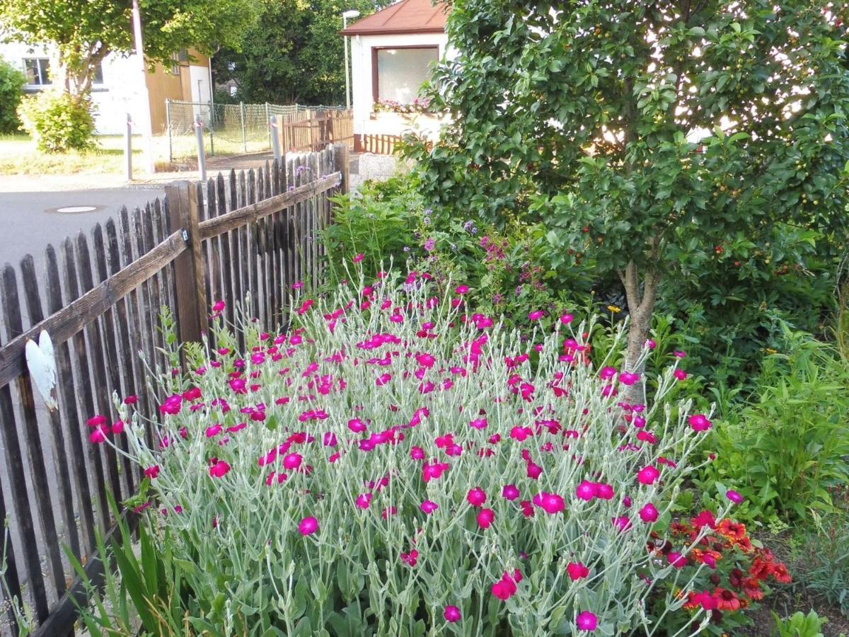 Apartment With Terrace In The Garden Pracht Exteriör bild